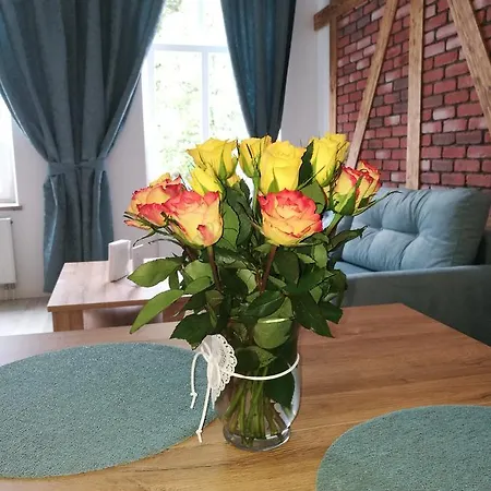 Apatramentymer - Idealny Dla Ciebie 아파트 린